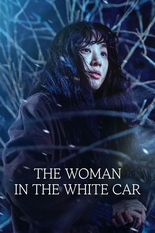 雪夜殺人懸案