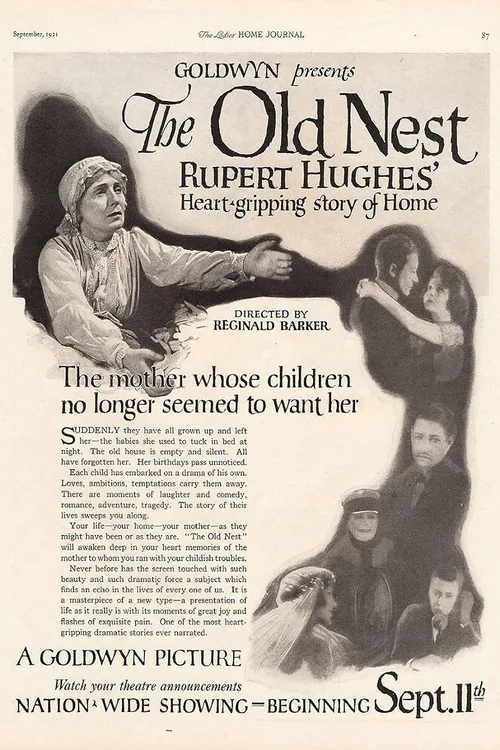 The Old Nest