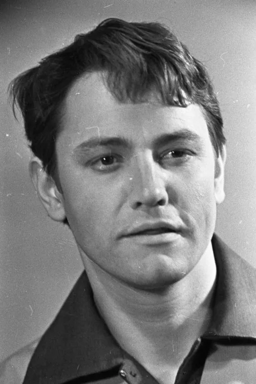 Владимир Земляникин