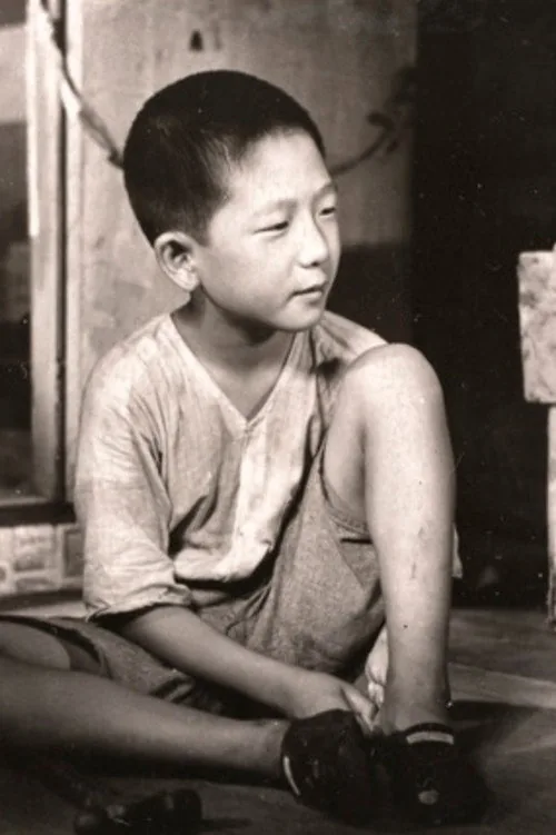 정찬조