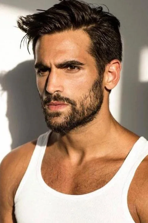Tomer Macloof