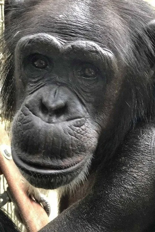 Ellie