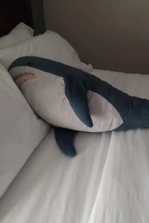 Brutus Shark