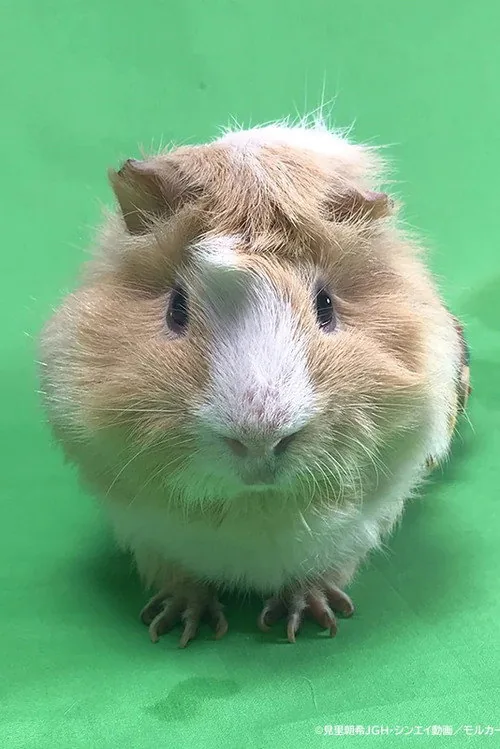 つむぎ
