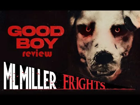 GOOD BOY (2023) 리뷰 - 노르웨이 영화, 정말 끝내주는 영화!