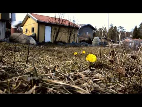 Nikon D7100 filmtest 01