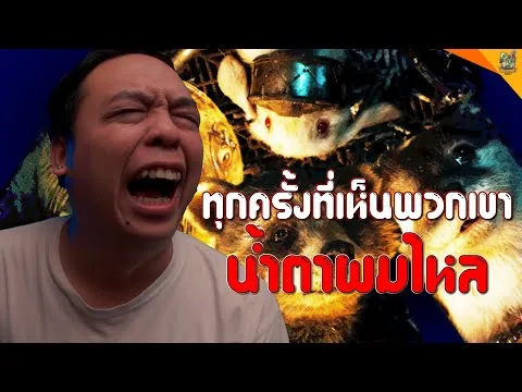 รีวิวหนัง ( #สปอย ) Guardians of the Galaxy Vol. 3 [ #หนอนหนัง ]