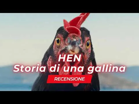 Hen - Storia di una gallina - Recensione del film di Gyorgy Palfi