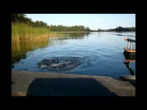 Gäddfiske. Filmtest!