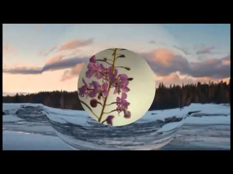 Charlotte Kalla, filmrecension av Belhu Tesfaye