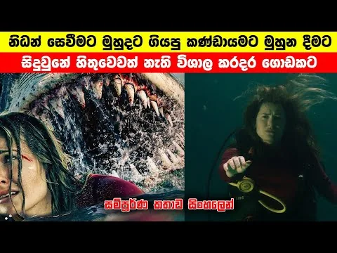 භයානක මෝර ප්‍රහාරය  😱 | Into the Deep[2025]full movie review sinhala | Sinhala movie review |