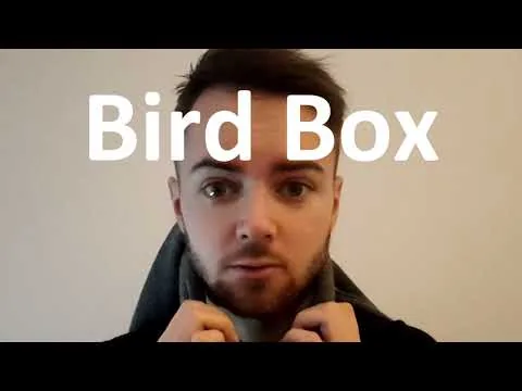 Bird Box | Filmrecension