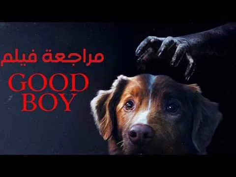 مراجعة فيلم Good Boy (2025)... فيلم الرعب الذي يرويه كلب