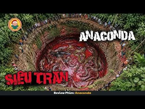 [Review Phim] Nhóm Người Vào Rừng Săn Bắt Siêu Trăn Và Cái Kết