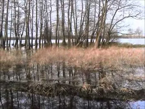 Filmtest