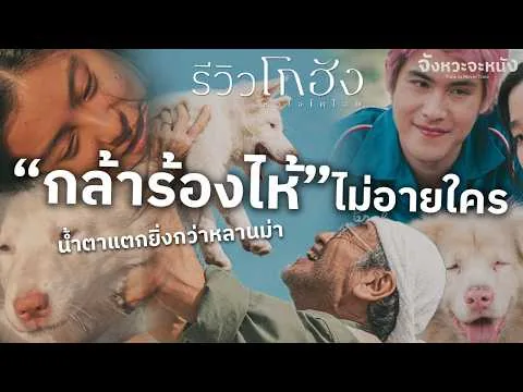 รีวิวหนังไม่สปอยล์ โกฮังหัวใจโกโฮม หมาอยู่ดีแต่คนดูร้องไห้ทั้งโรง น้ำตาไหลไม่หยุดเลย
