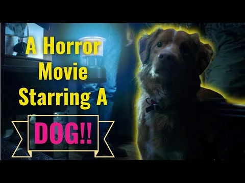 مراجعة فيلم Good Boy (2025)