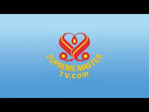 SupremeMasterTV Live (1080p 1 + 119,200 x Max)