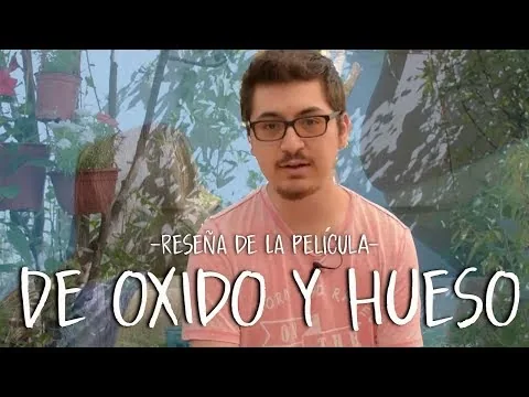 Reseña de la película "De óxido y Hueso" #InversionistadeHistorias