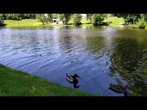 REDMI NOTE 7 FOTO FILMTEST 4K UHD