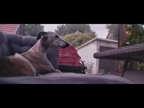 FilmTest