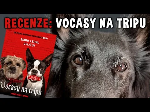Filmový tip pro pejskaře: VOCASY NA TRIPU 🐾 | Recenze Psínovinky.cz