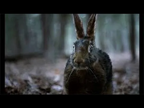 The Witch / 女巫 movie review / 電影評論 (cantonese ver.)