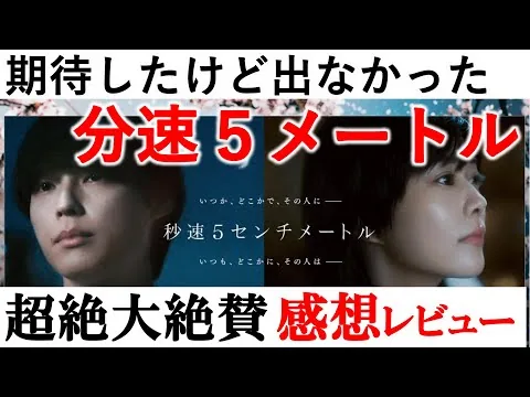 『秒速５センチメートル』超絶大絶賛の感想レビュー【2025年No.1映画決定しました】