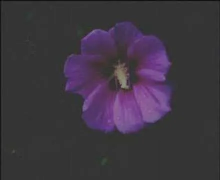 FILMTEST