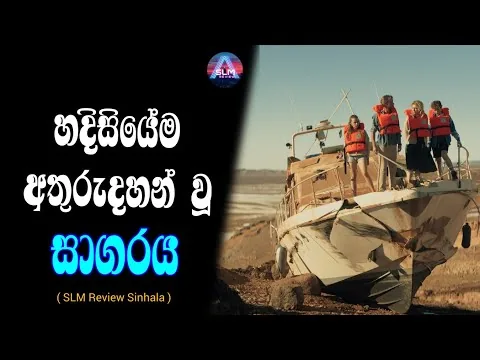 හදිසියේම අතුරුදහන් වූ සාගරය සහ දිවි ගලවාගන්න යෙදෙන උත්සහය - Survive 2024 / Sinhala movie review