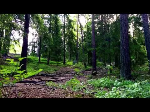Stiglöpning - Filmtest med Nexus 5