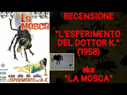 L'ESPERIMENTO DEL DOTTOR K. (1958) - RECENSIONE film (aka The Fly / La mosca)