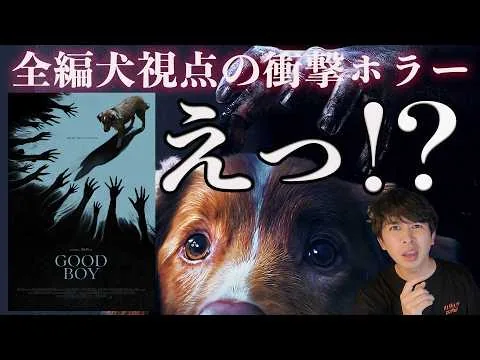 New movie "GOOD BOY" spoiler-free review! Shocking! A movie about a dog trying to protect its own...