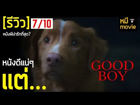 Review | GOODBOY: The Dog Sees Ghosts | A horror movie where dogs take us to experience the horror