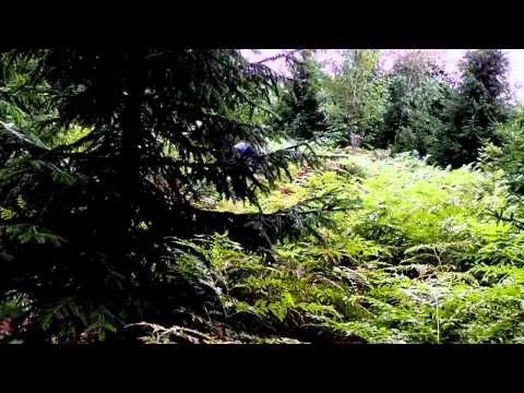 FilmTest