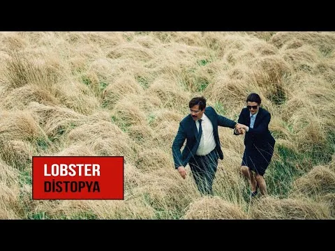 Lobster - Film Analizi