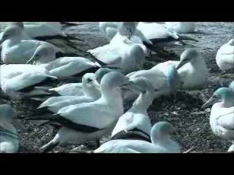 Min filmtest